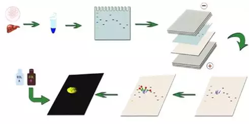 5d3aab96ada1f.png WB-1.png