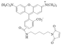 5f30eeac4a8d9.png image.png