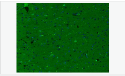 6052ab950e867.png image.png