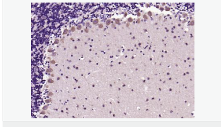 6052bad00d685.png image.png