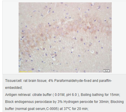 60544716c7f1a.png image.png