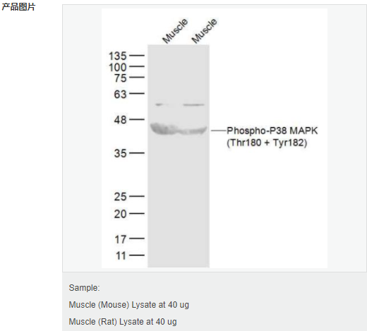 6059427d1e194.png image.png