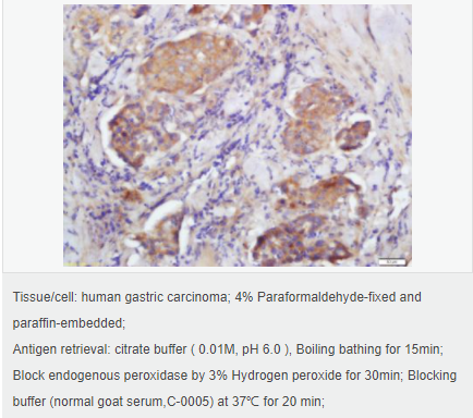 6059432fad96e.png image.png