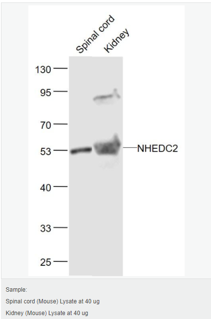 605948ad05129.png image.png