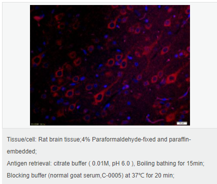 6059976f6f885.png image.png