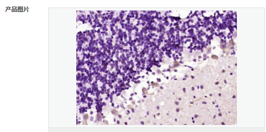 605c430f1d382.png image.png