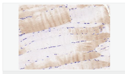 605d836e4a359.png image.png