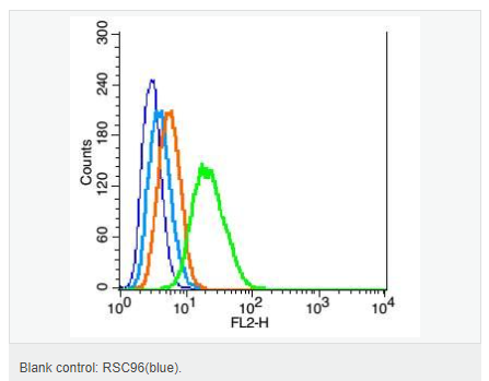 60612c56ad987.png image.png