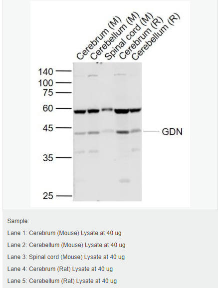 606414eec063e.png image.png