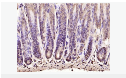 606428f909092.png image.png