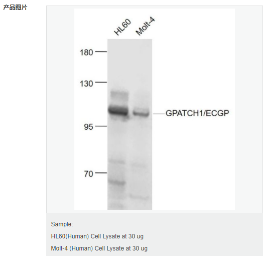 60657334e85de.png image.png