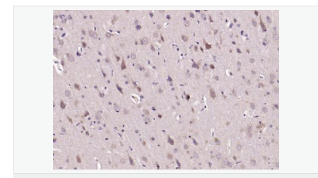 606bcbd9002a4.png image.png