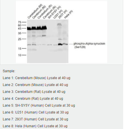 606bcfb62e998.png image.png