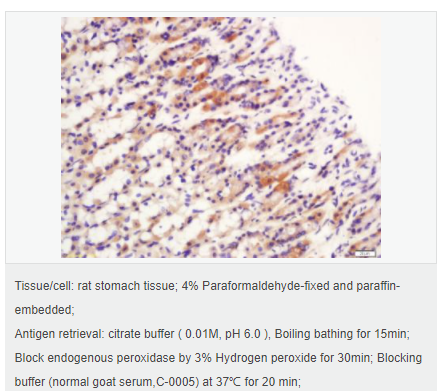 60764800870fd.png image.png