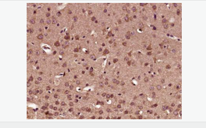 60764845626c6.png image.png