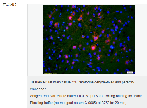 60765856610c8.png image.png