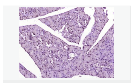 60765896ca45d.png image.png