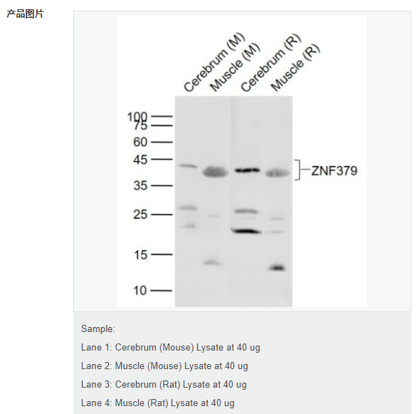 6077db2e7f63a.png image.png