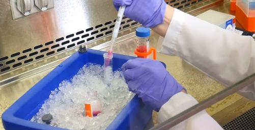 60e65ef06c01e.png image.png