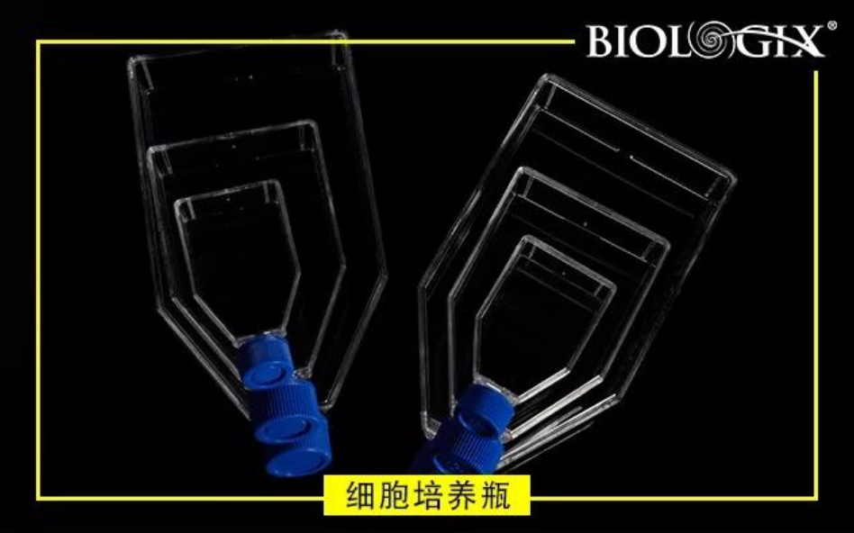 64740d758ab54.png image.png