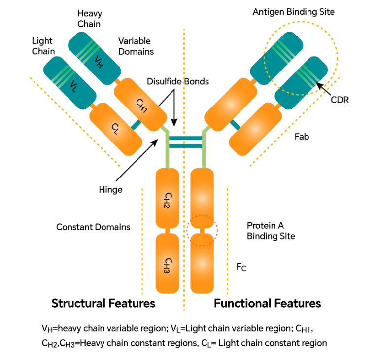 66cc1218175dc.png image.png