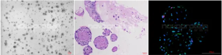 6729d7d38f258.png image.png