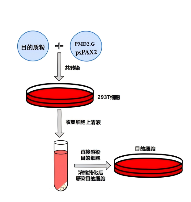 68ea11a4f2ec6.png image.png